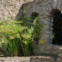 Photo de France - Le Jardin de Saint-Adrien : une oasis de verdure